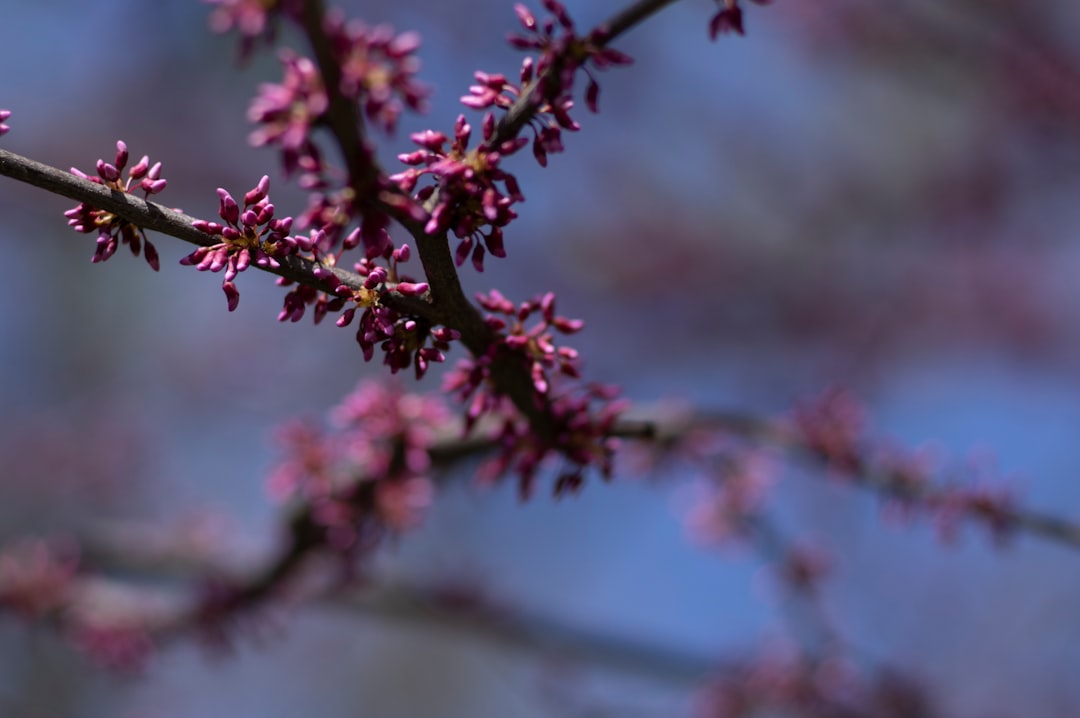 Photo spring photoshoot